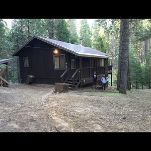 Meet your Posher, Carol